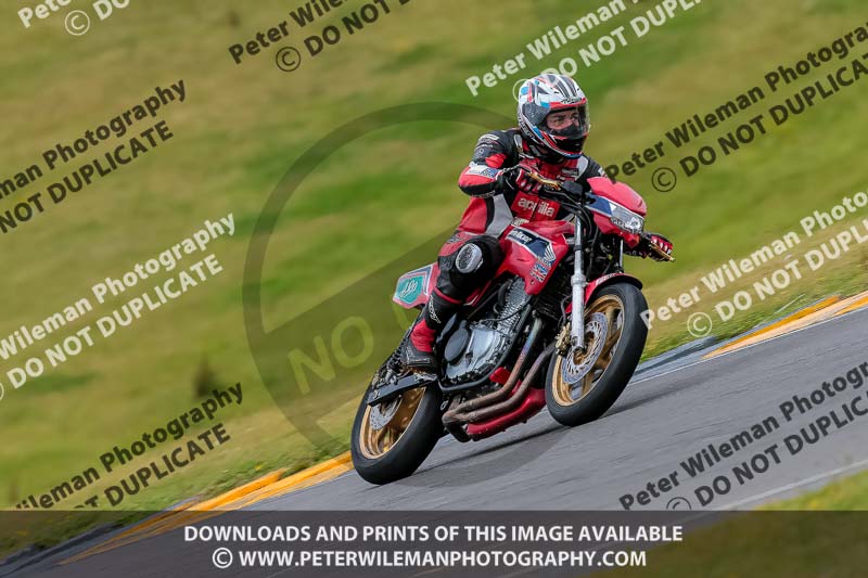 PJ Motorsport 2019;anglesey no limits trackday;anglesey photographs;anglesey trackday photographs;enduro digital images;event digital images;eventdigitalimages;no limits trackdays;peter wileman photography;racing digital images;trac mon;trackday digital images;trackday photos;ty croes